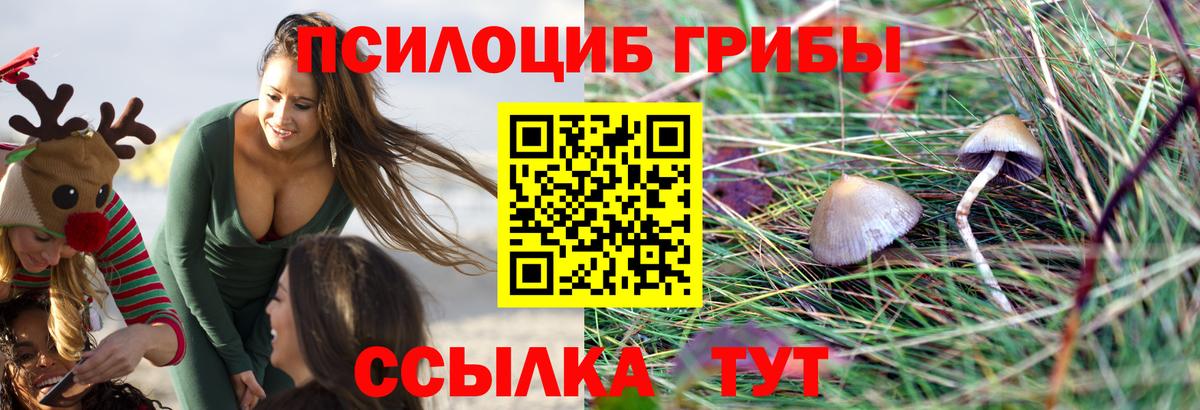 Псилоцибиновые грибы мухоморы Сибай